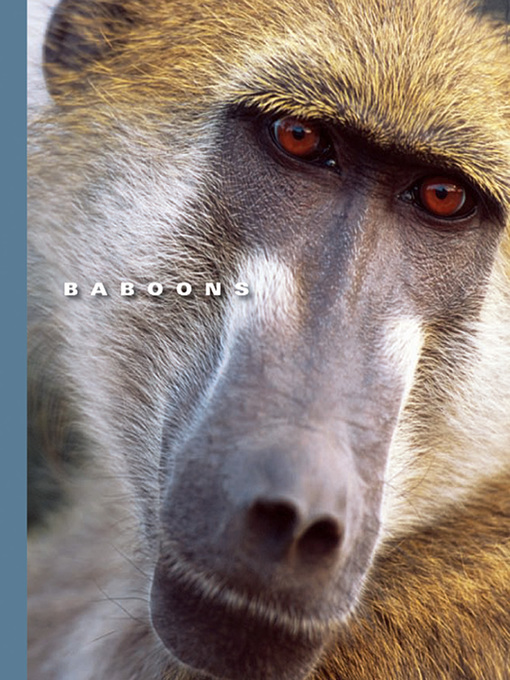 Title details for Baboons by Sophie Lockwood - Available